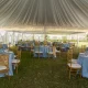 Philip and Millicent wedding pictures (298)